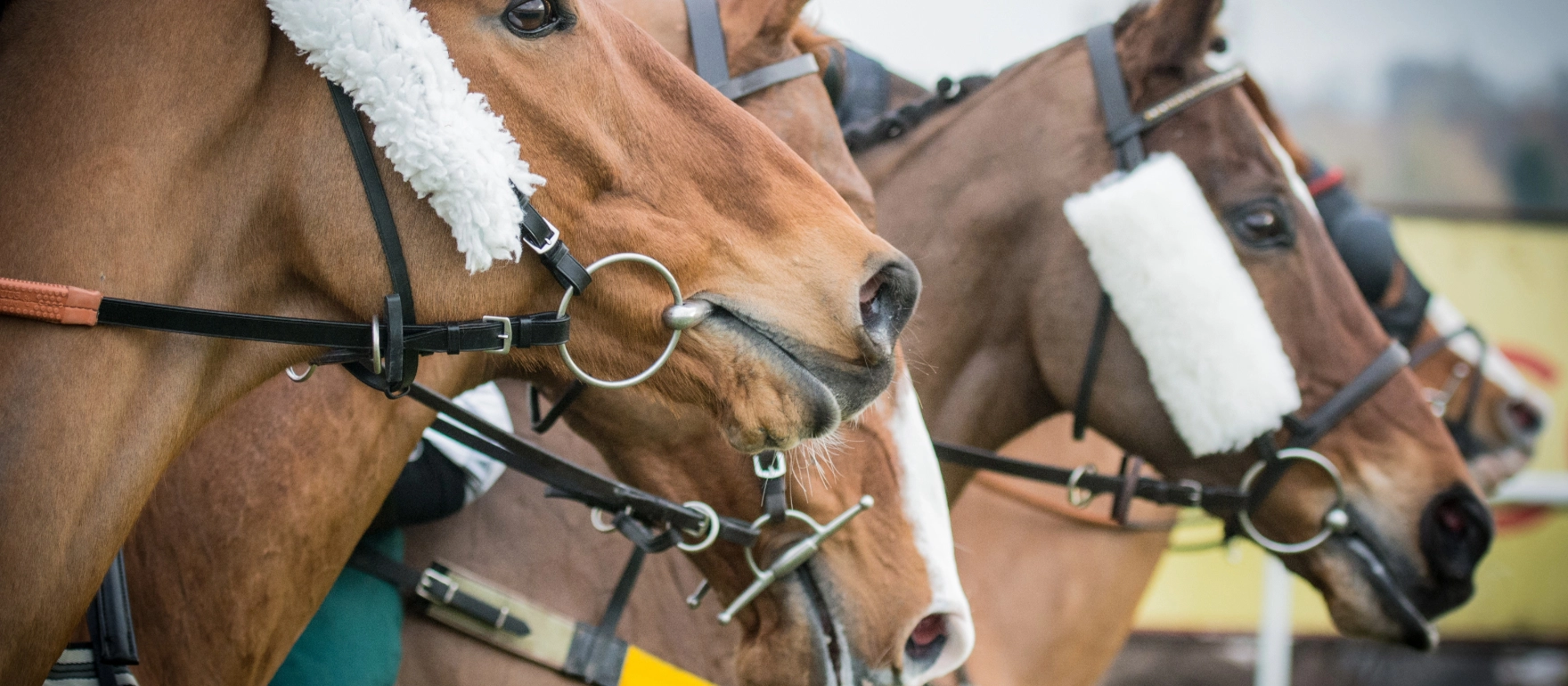Horses get ready to race at Royal Ascot