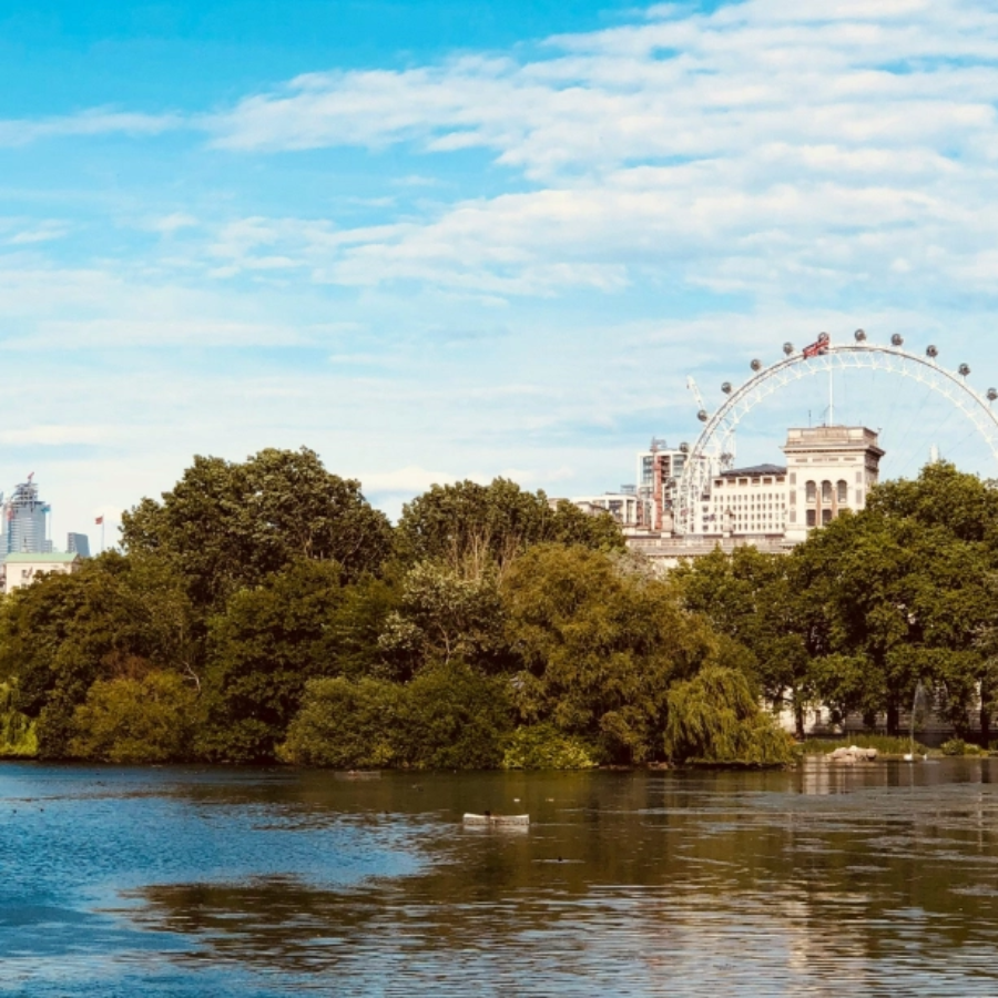 The London Eye behind a London park